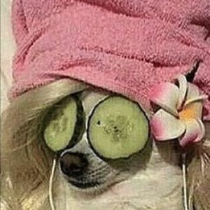 Meet your Posher, Isabella